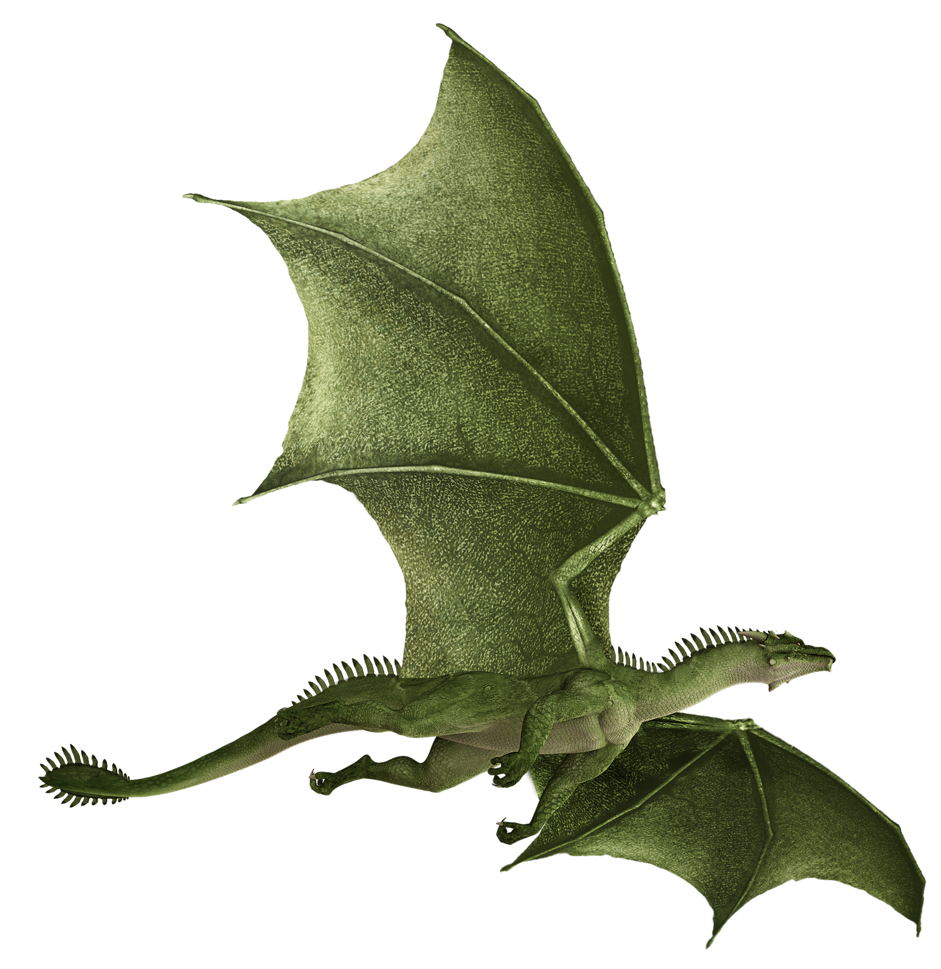 Green flying dragon